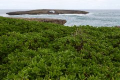 Oahu - 036